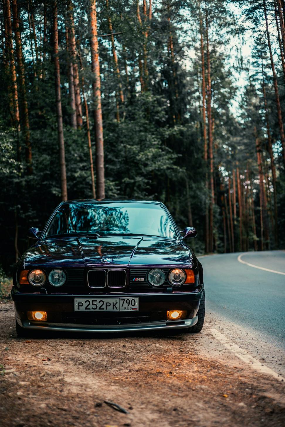 BMW E30